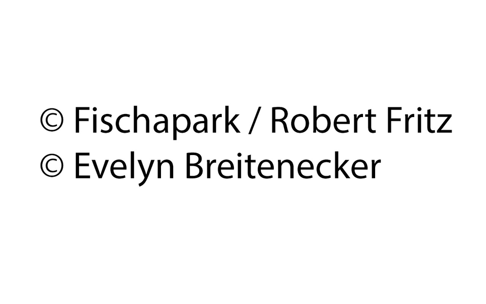 Fischapark 2025